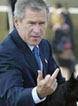 bush