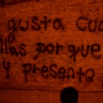Neruda: El gran bardo revisitado.