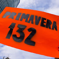 primavera132