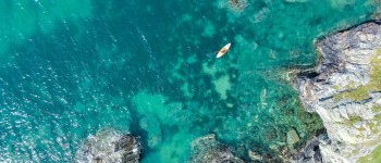 coral_Dean_Ward_en_unsplash
