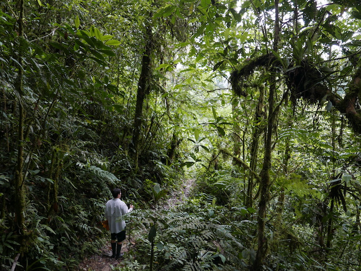 Reportaje "Camanti: el bosque que lucha contra la minería" (Fotos Jack Lo)